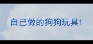 自己做的狗狗玩具
