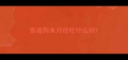 泰迪狗来月经吃什么好