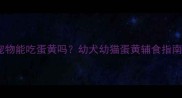 三个月大的宠物能吃蛋黄吗幼犬幼猫蛋黄辅食指南及注意事项