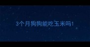 3个月狗狗能吃玉米吗