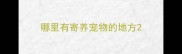 哪里有寄养宠物的地方