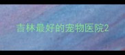 吉林最好的宠物医院