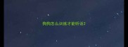 狗狗怎么训练才能听话