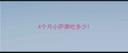 4个月小萨摩吃多少