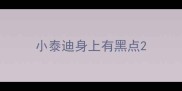 小泰迪身上有黑点