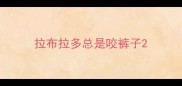 拉布拉多总是咬裤子