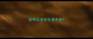 拉布拉多的生育年龄