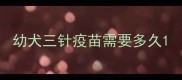 幼犬三针疫苗需要多久