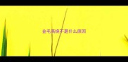 金毛高烧不退什么原因