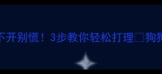 边牧耳朵分不开别慌3步教你轻松打理狗狗舒适度翻倍
