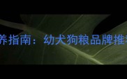 边牧8月龄科学喂养指南幼犬狗粮品牌推荐与营养搭配方案