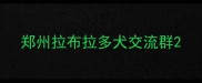郑州拉布拉多犬交流群