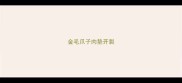 金毛爪子肉垫开裂