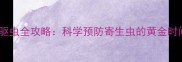 泰迪犬幼犬体内驱虫全攻略科学预防寄生虫的黄金时间表与用药指南