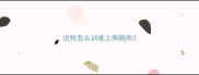 边牧怎么训练上狗厕所