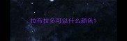 拉布拉多可以什么颜色