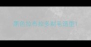 黑色拉布拉多剃毛造型