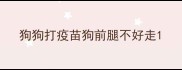 狗狗打疫苗狗前腿不好走
