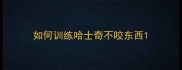 如何训练哈士奇不咬东西