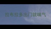 拉布拉多出门就喘气