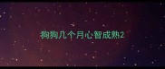 狗狗几个月心智成熟