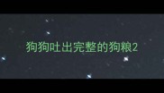 狗狗吐出完整的狗粮