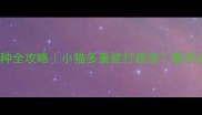 幼猫疫苗接种全攻略小猫多重能打疫苗新手必看避坑指南