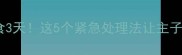 狗狗绝食3天这5个紧急处理法让主子秒回魂
