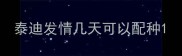 泰迪发情几天可以配种