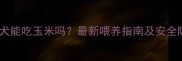 泰迪犬能吃玉米吗最新喂养指南及安全隐患