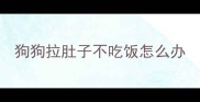狗狗拉肚子不吃饭怎么办