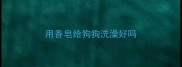 用香皂给狗狗洗澡好吗