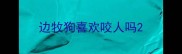 边牧狗喜欢咬人吗
