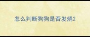 怎么判断狗狗是否发烧
