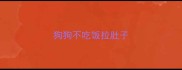 狗狗不吃饭拉肚子