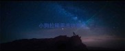 小狗拉稀果冻状有血