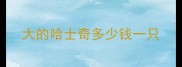大的哈士奇多少钱一只