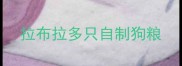 拉布拉多只自制狗粮