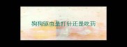 狗狗驱虫是打针还是吃药