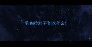 狗狗拉肚子能吃什么