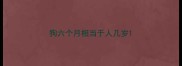 狗六个月相当于人几岁