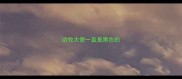 边牧大便一直是黑色的