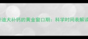 泰迪犬补钙的黄金窗口期科学时间表解读