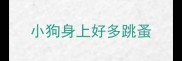 小狗身上好多跳蚤