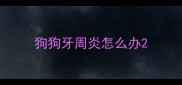 狗狗牙周炎怎么办
