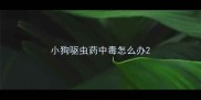小狗驱虫药中毒怎么办