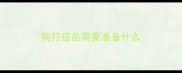 狗打疫苗需要准备什么