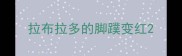 拉布拉多的脚蹼变红