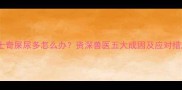 哈士奇屎尿多怎么办资深兽医五大成因及应对措施