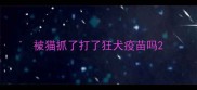 被猫抓了打了狂犬疫苗吗